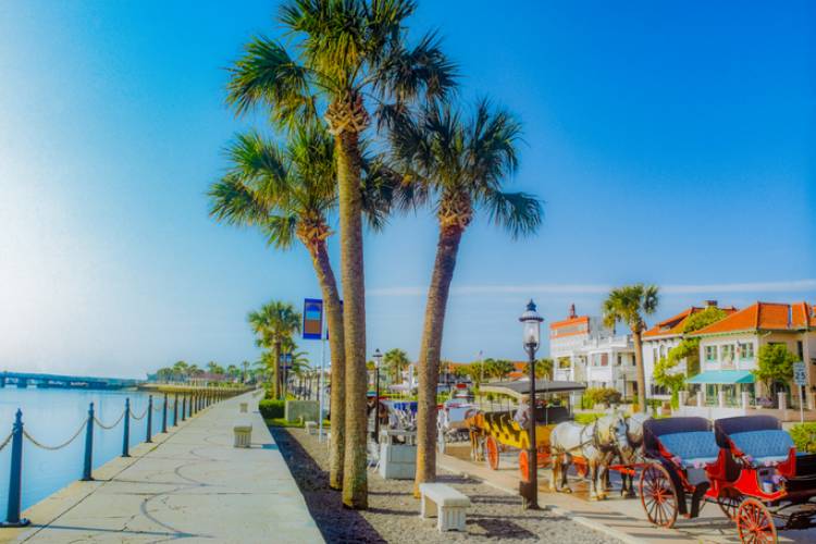 Horse drawn carriages in St. Augustine