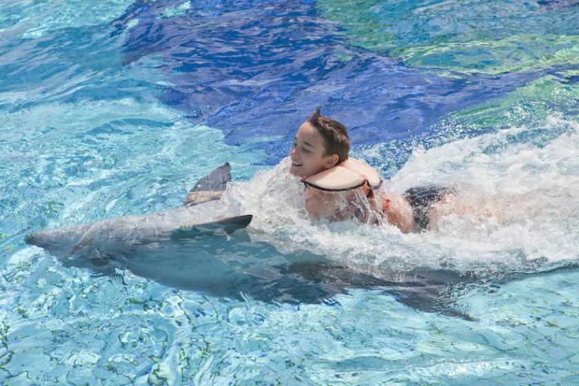 Kid swimming with a dolphin 